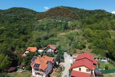 Teren de 2868 mp, în Săsar - 12