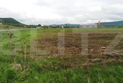 Teren de 19100 mp, în Beclean - 3