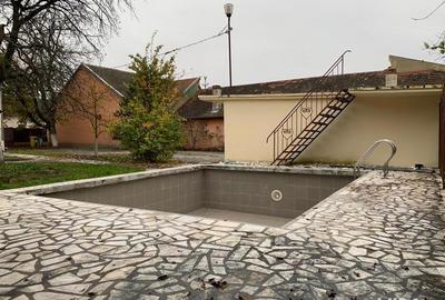 Vand casa Faget Vand casa Faget - 8