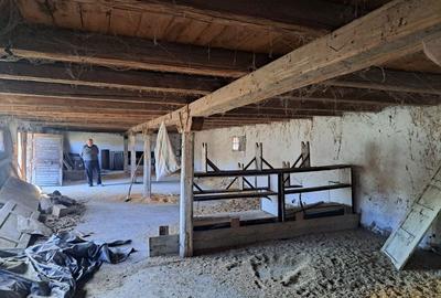 Casă cu 4 camere în Bretea Mureșană - 8