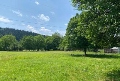 Casă cu 3 camere în Vad - 4