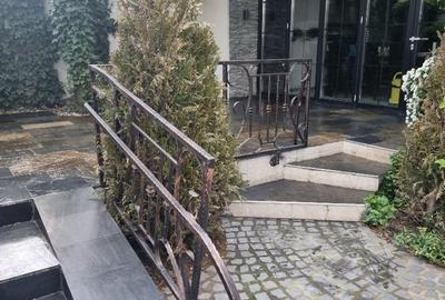 Spațiu comercial, de 335 mp, în Colentina - 2