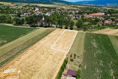 Teren de 2268 mp, în Valea Crișului - 5