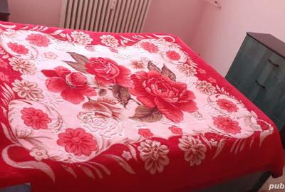 Apartament arad,zona lebada,60 m Apartament arad,zona lebada,60 m - 5