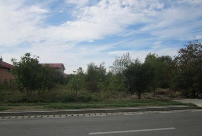 Domnesti Ciutaci-Zorelelor - 3