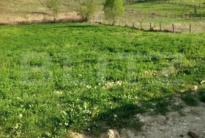 Teren de 4252 mp, în Vulcana-Pandele - 2