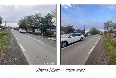 Casă cu 3 camere cu Teren 1549 Mp în Giarmata - 5