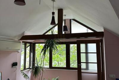 Casă individuală cu 5 camere cu Canalizare în Parcul Carol - 10