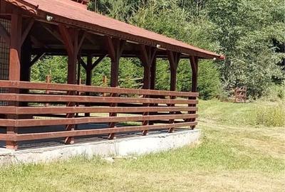 Spațiu comercial, în Lunca - 3