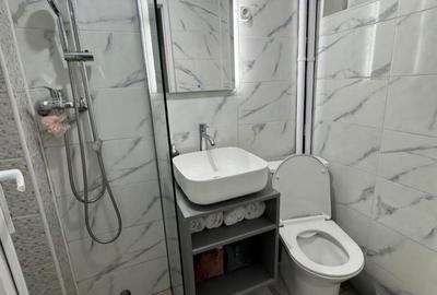 Apartament cu 2 camere în Valea Rosie - 8