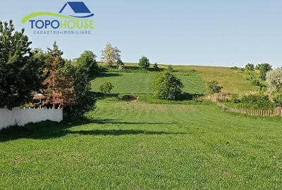 Teren de vanzare in Orasul Buhusi, zona Bulgarie - 2