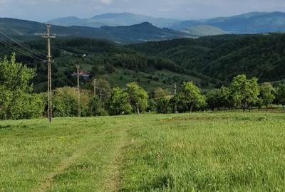 Teren Construcții intravilan de 3200 mp, în Vorța - 1