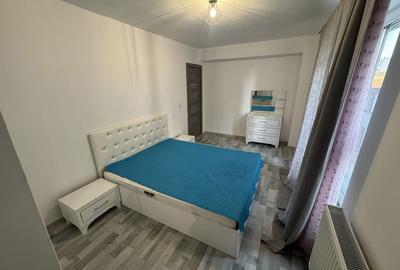 Apartament cu 2 camere semidecomandat în Dosu Bricii - 3