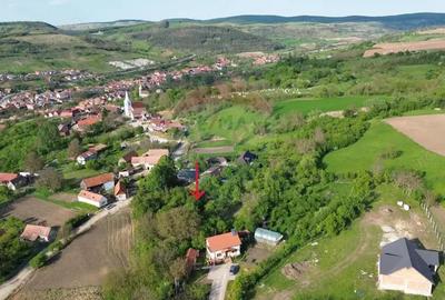 Teren de 3269 mp, în Slimnic - 13