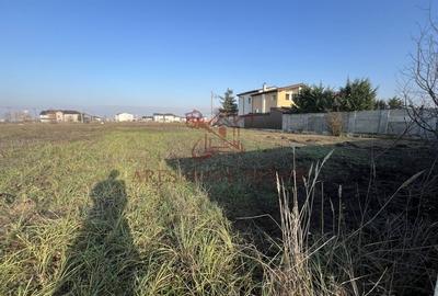 🌿 Teren intravilan generos, toate utilitățile – Moșnița Nouă - 4