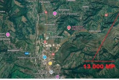 TEREN EXTRAVILAN MUSATESTI ARGES - 5