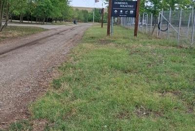 Teren de 400 mp, în Sărulești - 3