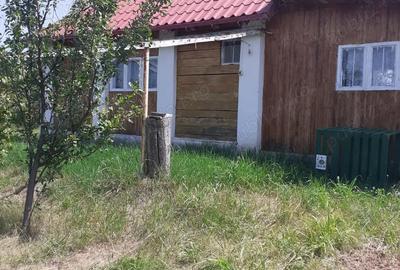 Casă cu 3 camere în Crucișoara - 2