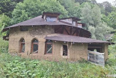 Casă cu 6 camere cu Teren 2700 Mp în Bradu - 4