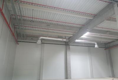 Drumul Intre Tarlale - A2- Palady depozit farma, produse alimentare, - 4