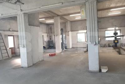 Hala/depozit/service auto in Dudovicesti, com. Simnicu de Sus - 14