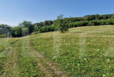 Teren de vanzare, 1Ha in apropiere de cartierul RAAL Teren de vanzare, 1Ha in apropiere de cartierul RAAL - 6