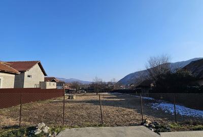 Spațiu comercial, în Jiblea Nouă - 5