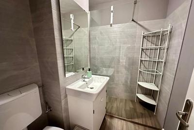 Unirii Coposu 2 Camere Spatios - 9