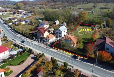 Casă cu 4 camere cu Teren 2714 Mp în Central - 3