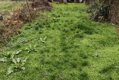 Casa batranesca din caramida - 4