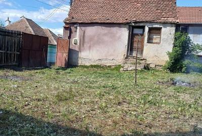 Casă cu Teren 785 Mp în Central - 1