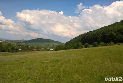 Teren de 200 mp, în Sărățel - 3