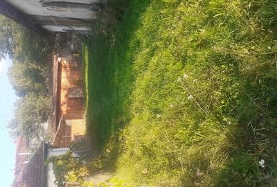 Casa la ?ara de vanzare - 5