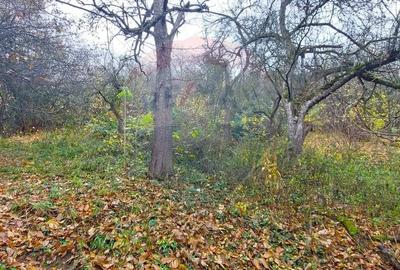 Comision 0! Casa  cu teren de 1000mp in inima Brasovului - 3