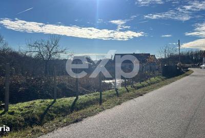 Casă cu 2 camere în Săliștea - 2