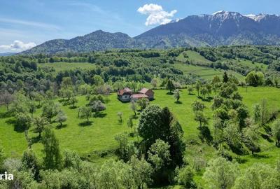 Spațiu comercial, în Bran - 8