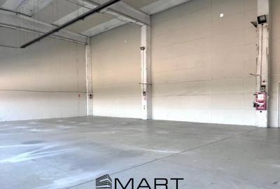 Cladire birouri si hala 8600mp zona industriala est - 2