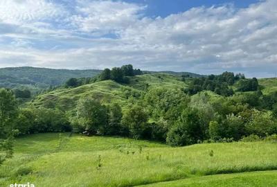 Teren de 2212 mp, în Vișinești - 1