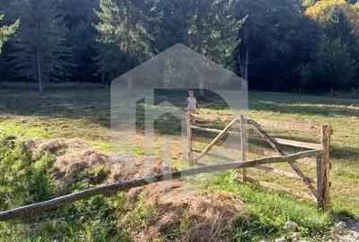 Spațiu comercial, în Porumbacu de Sus - 6