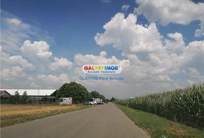 Teren intravilan de 40000 mp, în Moara Vlăsiei - 3