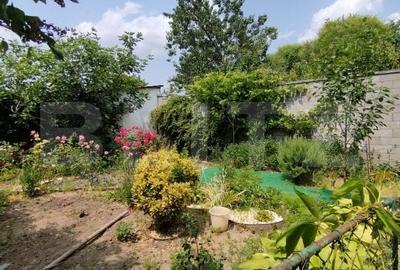 Casa istorica, 2 apartamnte, curte proprie- posibilitati multiple, zona Balcescu - 19