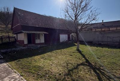 Casă cu 5 camere cu Teren 3252 Mp în Aghireșu - 12