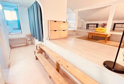 La cativa pasi de Piata Victoriei Metrou -  MANSARDA open space - 7