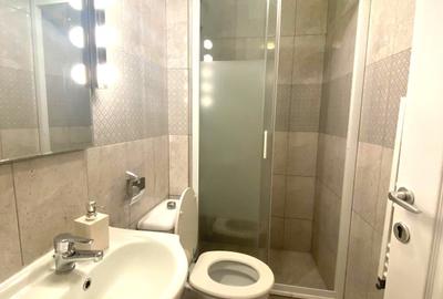Apartament cu 3 camere semidecomandat, mobilat în Cișmigiu - 6