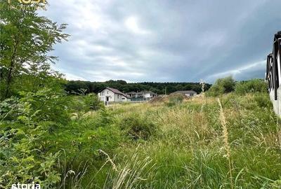 Teren de 15000 mp, în Budacu de Jos