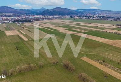 Teren de 8557 mp, în Plaiul Foii - 4