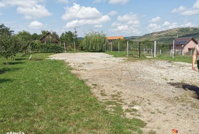 Spațiu comercial, în Nou - 5