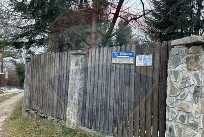 Teren Zarnesti /Bran/Predelut6 Strada Pe tarina Teren Zarnesti /Bran/Predelut6 Strada Pe tarina - 10