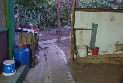 Casă cu 3 camere în Ireasca - 6