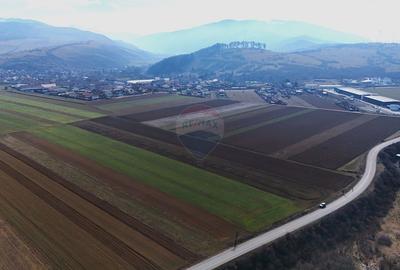 Teren agricol extravilan de 14600 mp, în Tărlungeni - 4